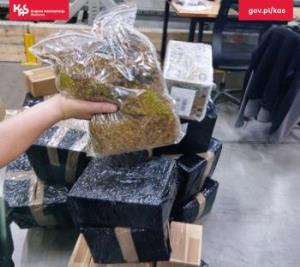 KAS wykryła tytoń w sortowniach w Zielonej Górze i Gorzowie Wlkp.