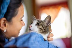 Merdający ogon zamiast partnera – w sytuacjach stresowych wolimy spędzać czas ze swoimi zwierzętami 